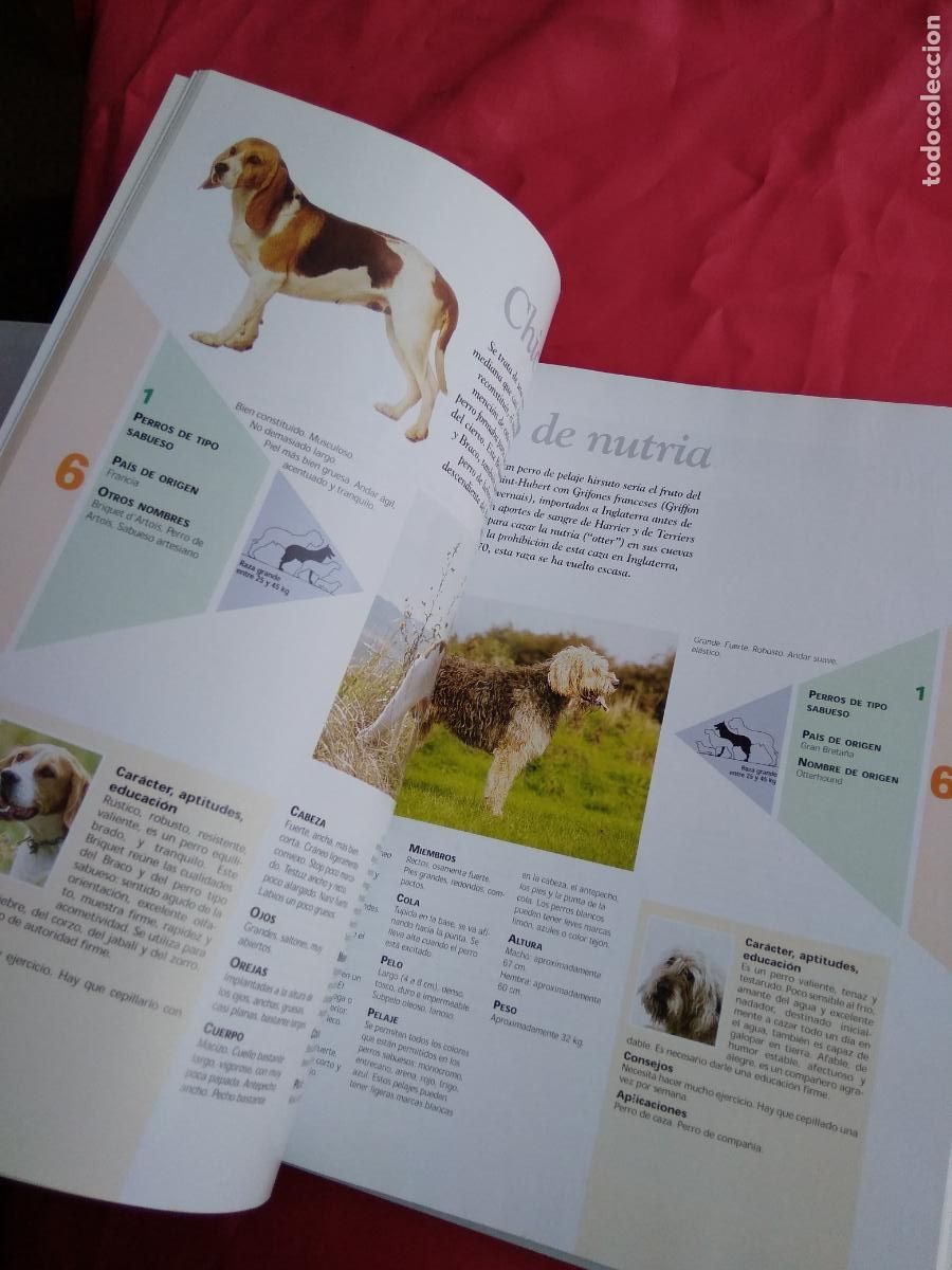 Libros: Enciclopedia del Perro Tomo III Q39 - Foto 2