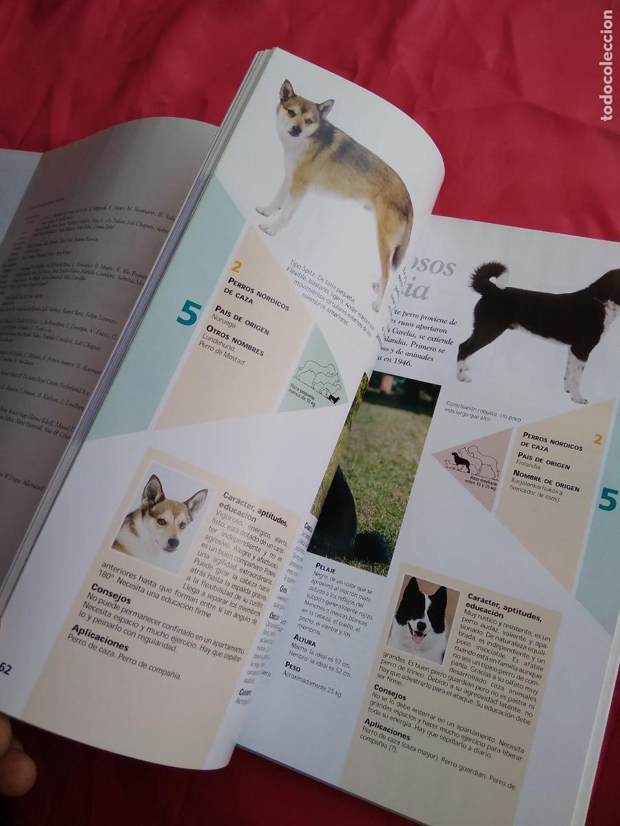 Libros: Enciclopedia del Perro Tomo II Q40 - Foto 2