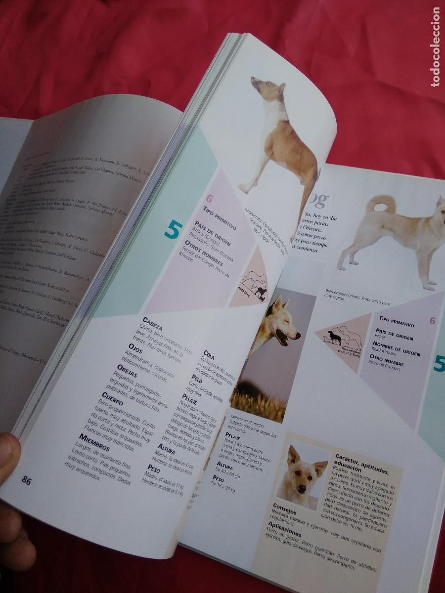 Libros: Enciclopedia del Perro Tomo II Q40 - Foto 4