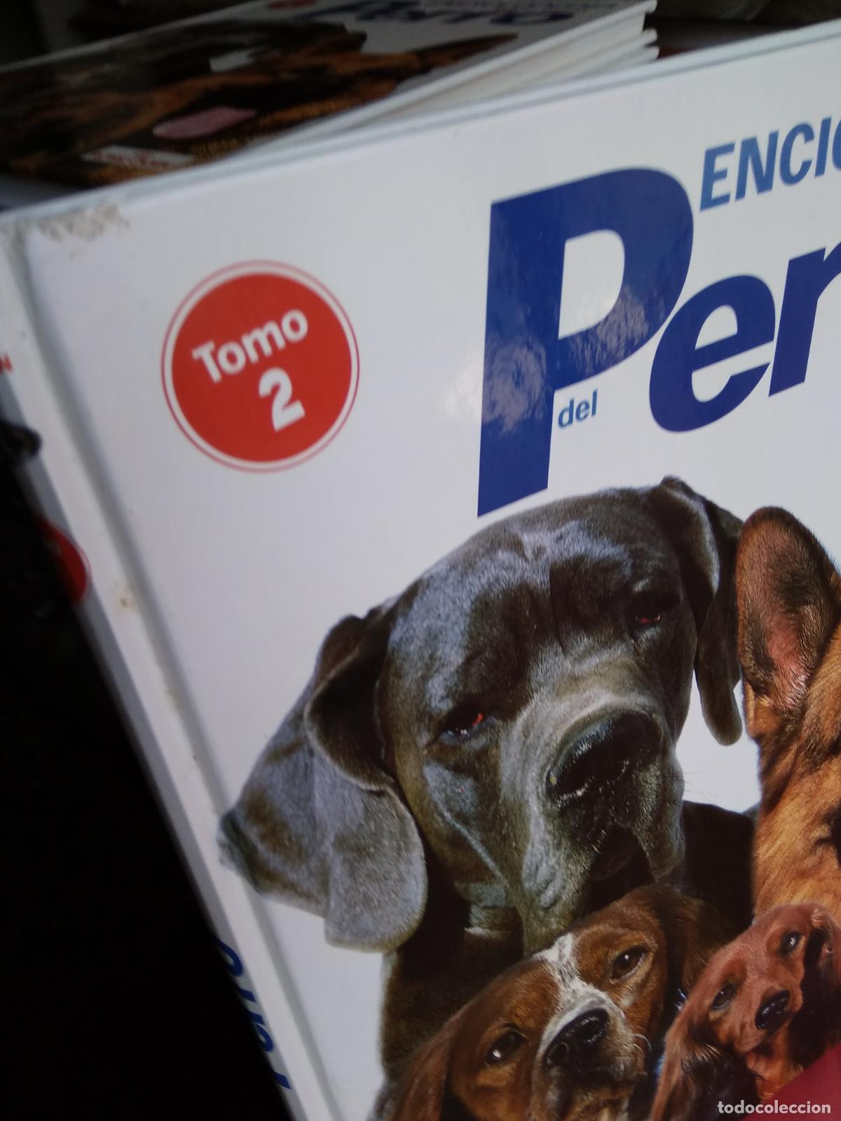 Libros: Enciclopedia del Perro Tomo II Q40 - Foto 6