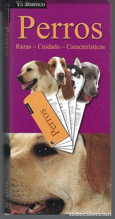 Libros: PERROS. RAZAS, CUIDADO, CARACTERISTICAS - VARIOS - Foto 1