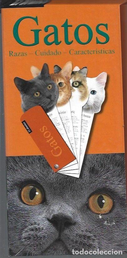 Libros: GATOS. RAZAS, CUIDADO, CARACTERISTICAS - VARIOS - Foto 1