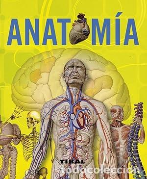 Libros: Anatom&iacute;a (enciclopedia Universal) - Foto 1