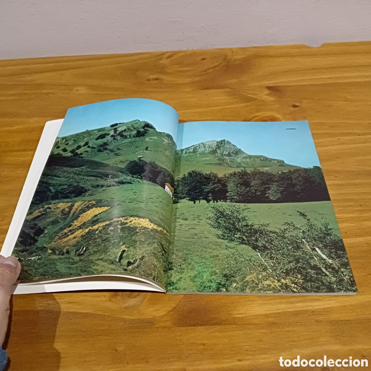 Libros: El paisaje natural. Jacinto G&oacute;mez tejedor - Foto 3