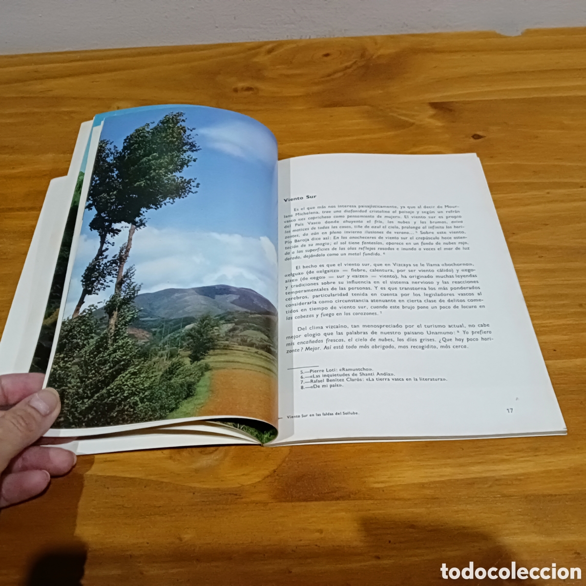 Libros: El paisaje natural. Jacinto G&oacute;mez tejedor - Foto 4