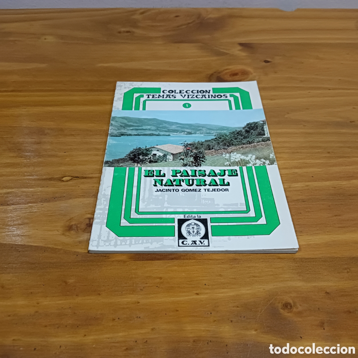 Libros: El paisaje natural. Jacinto G&oacute;mez tejedor - Foto 1