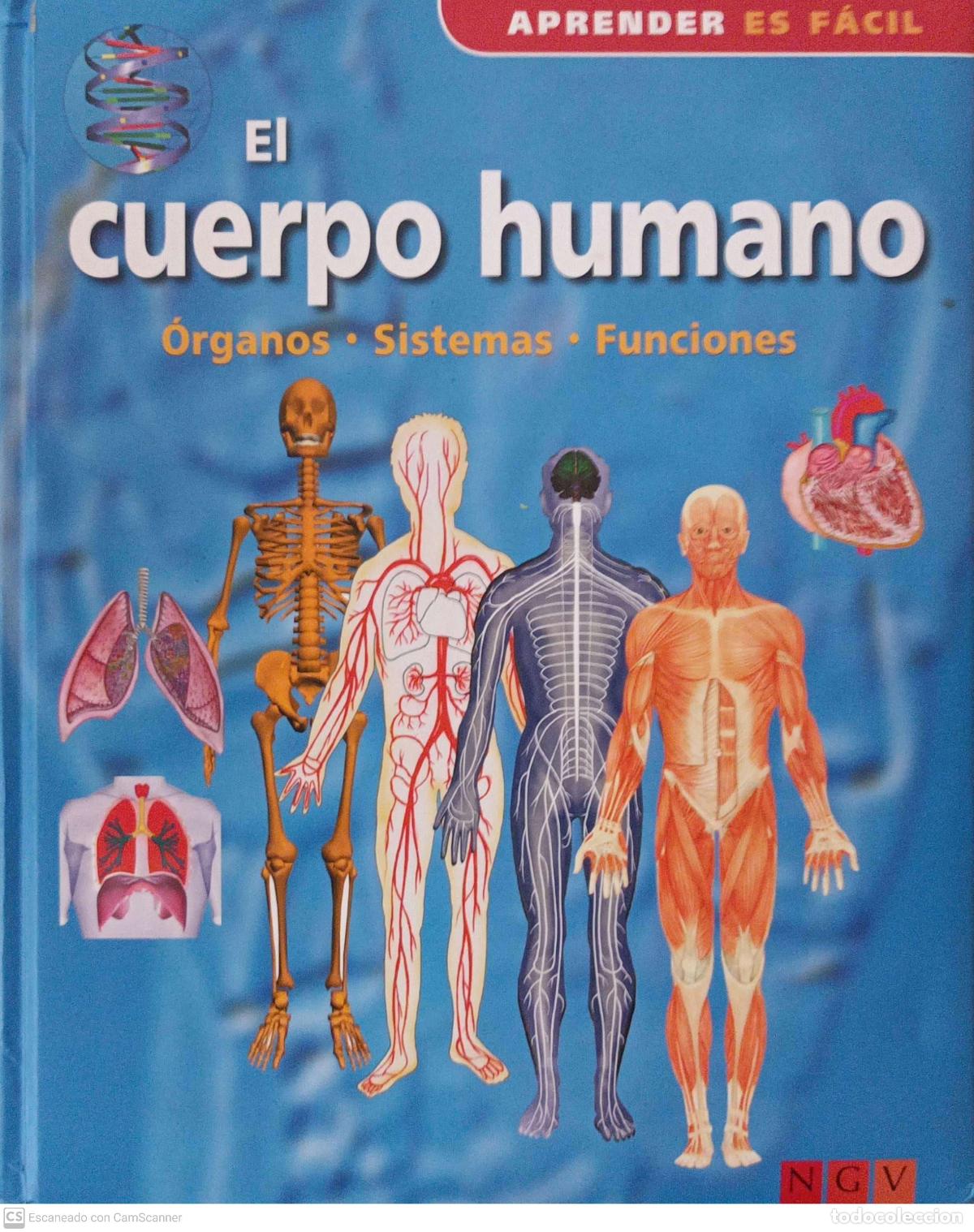 Libros: El cuerpo humano - Foto 1