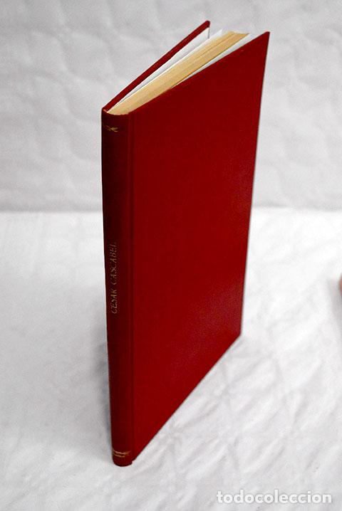 Libros: C&eacute;sar Cascabel.- Verne, Julio - Foto 1