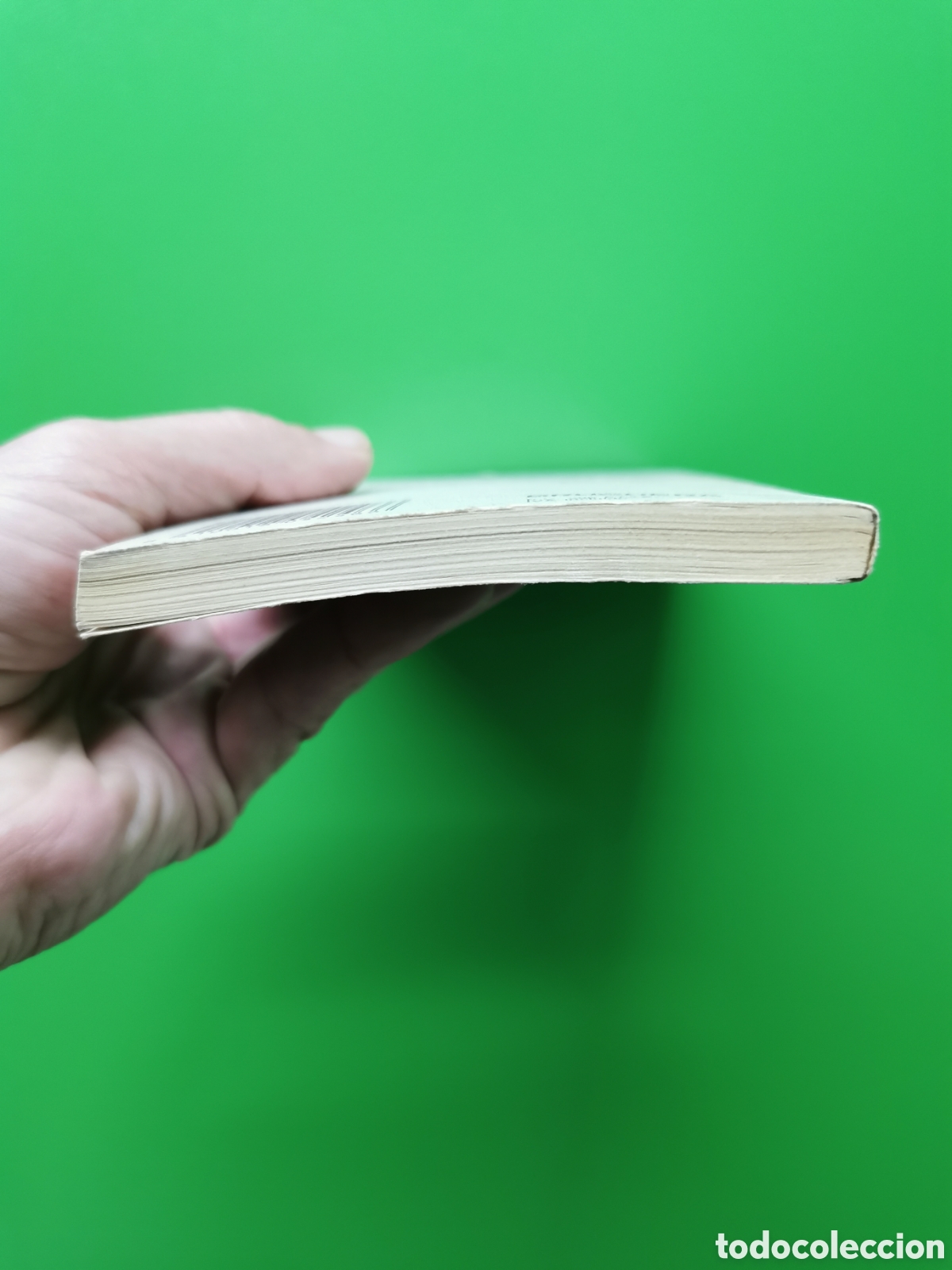 Libros: JUAN RULFO. PEDRO P&Aacute;RAMO. BRUGUERA . SIN LEER - Foto 3