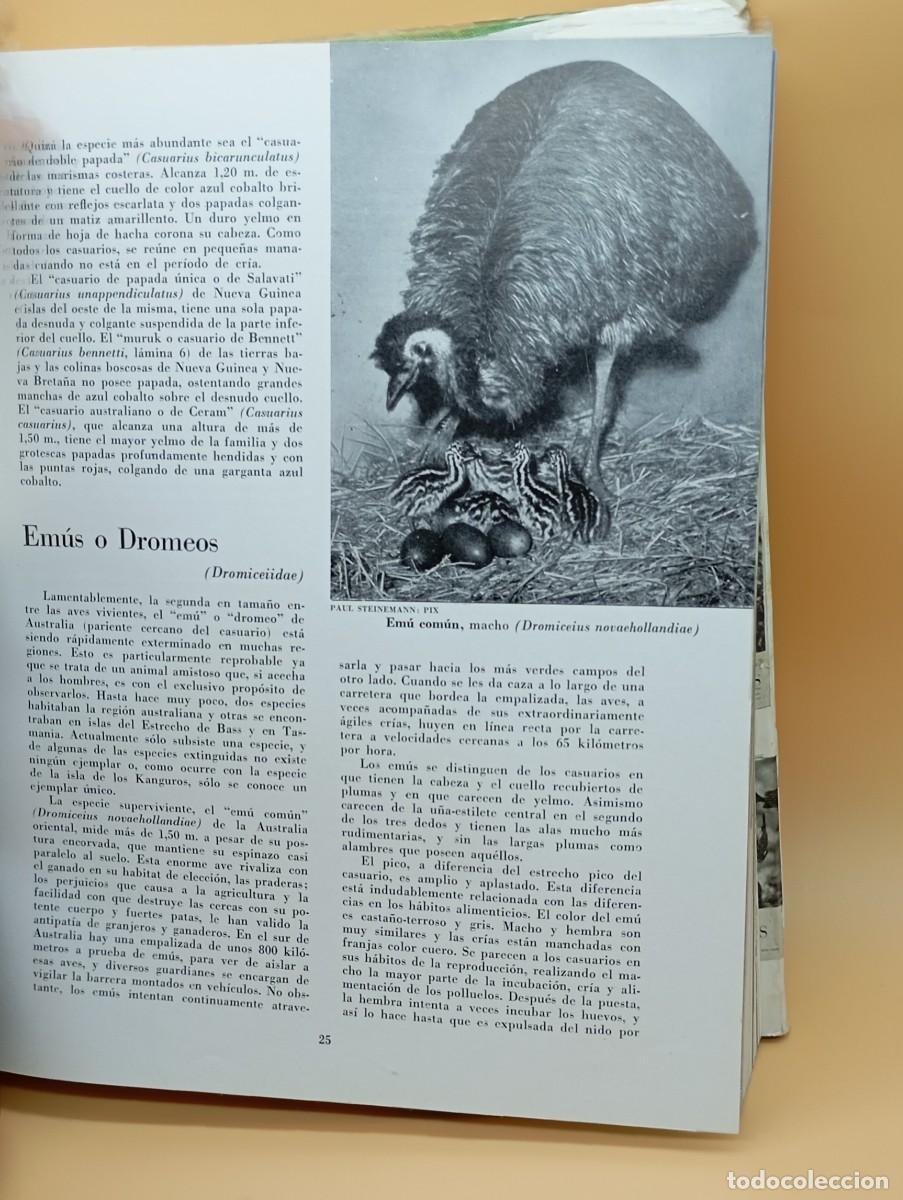 Libros: LAS AVES , E.THOMAS GILLIARD 1500 ESPECIES ILUSTRACIONES - Foto 5