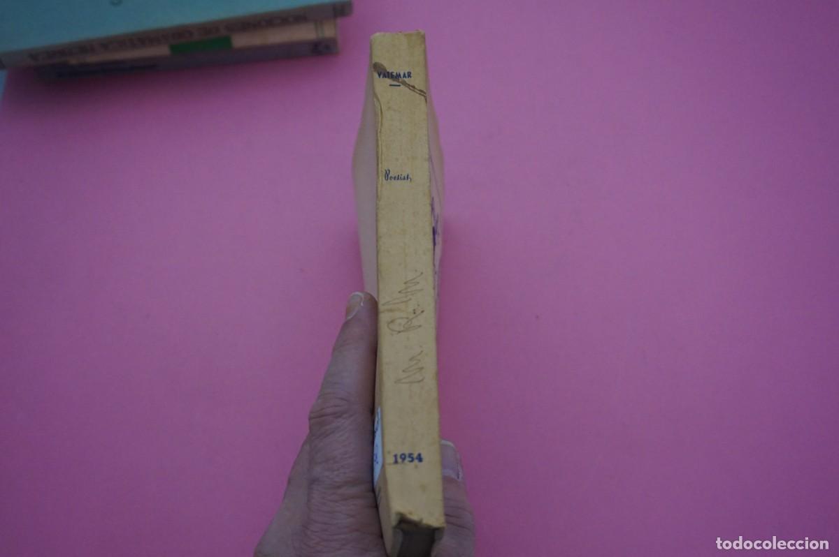 Libros: AR15B/ DIOS, PATRIA Y HOGAR / EDITORIAL LUZ - Foto 6