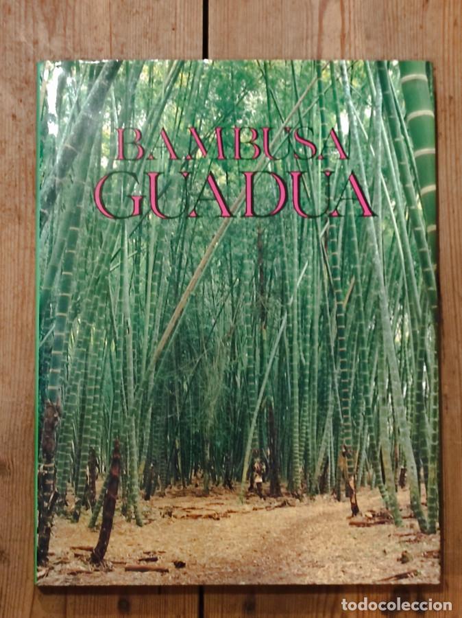 Libros: Bambusa Guadua - VILLEGAS MARCELO - Foto 1