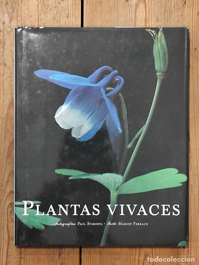 Libros: Plantas vivaces - FERRAUD MARION - Foto 1