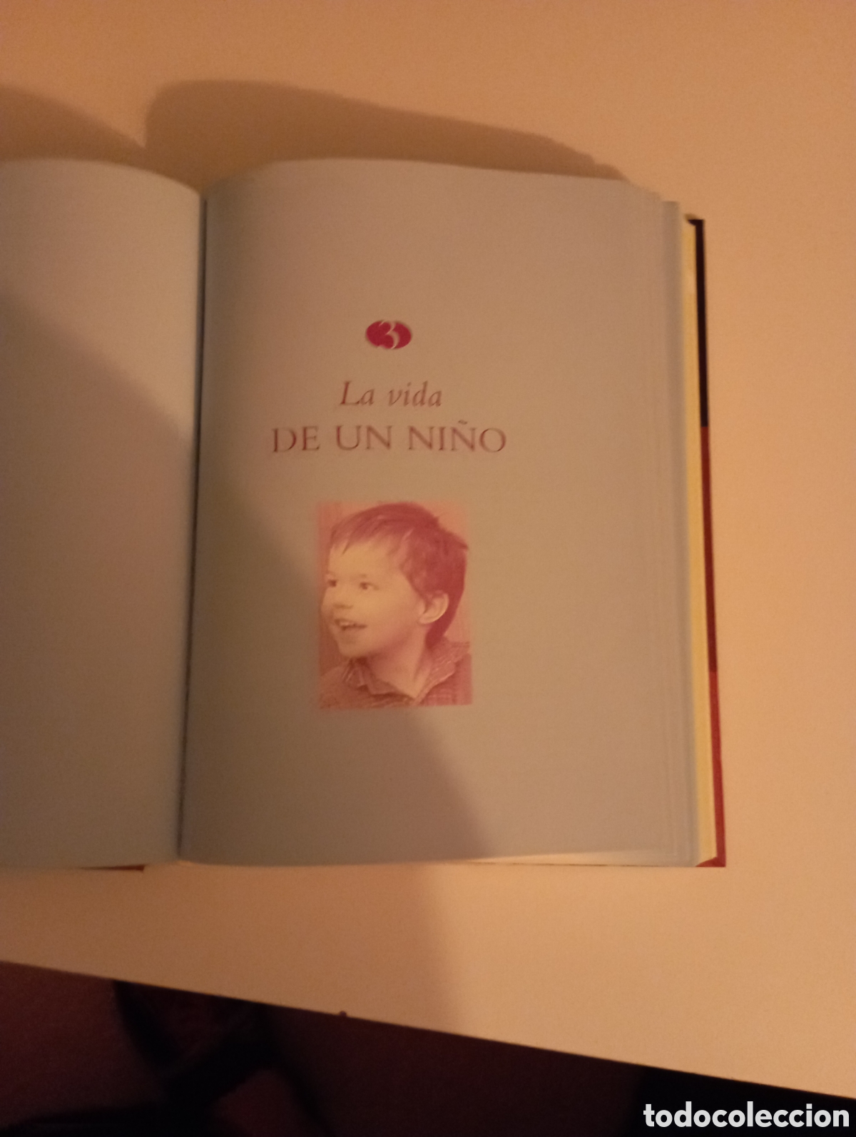 Libros: Cr&iacute;o a mi hijo. Laurence Permoud - Foto 5
