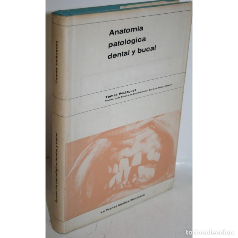 Libros: ANATOM&Iacute;A PATOL&Oacute;GICA DENTAL Y BUCAL - VEL&Aacute;ZQUEZ, Tom&aacute;s