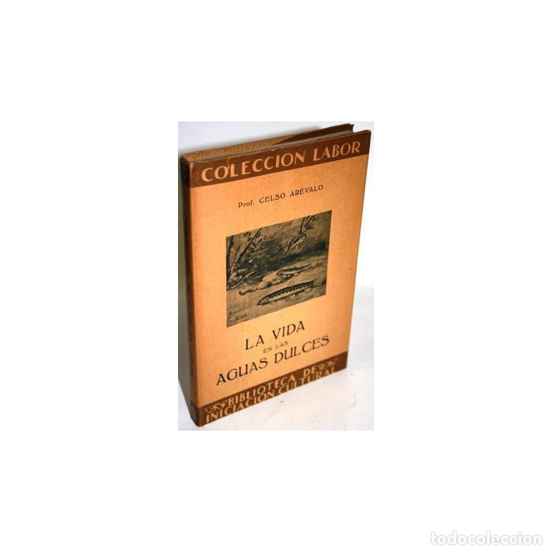 Libros: LA VIDA EN LAS AGUAS DULCES - AR&Eacute;VALO, Celso - Foto 1