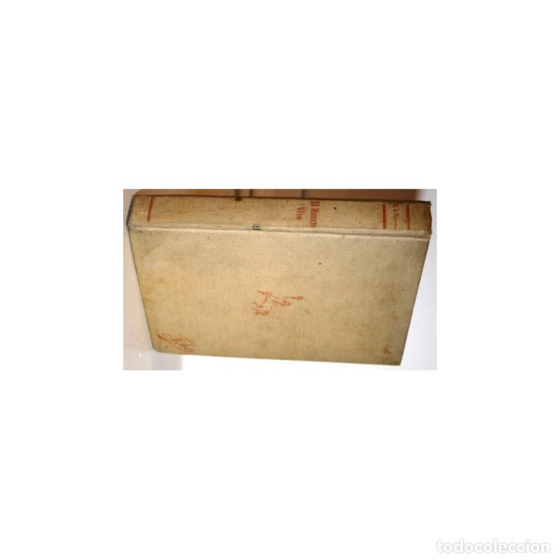 Libros: EL MUERTO VIVO - STEVENSON, R. L - Foto 1