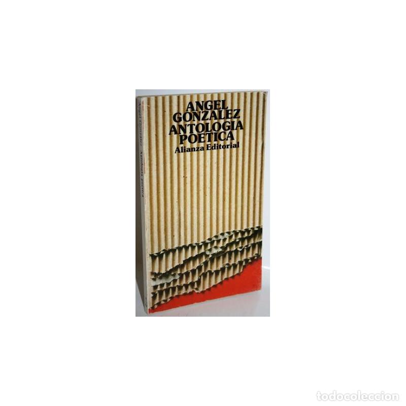 Libros: ANTOLOG&Iacute;A PO&Eacute;TICA - GONZ&Aacute;LEZ, &Aacute;ngel - Foto 1