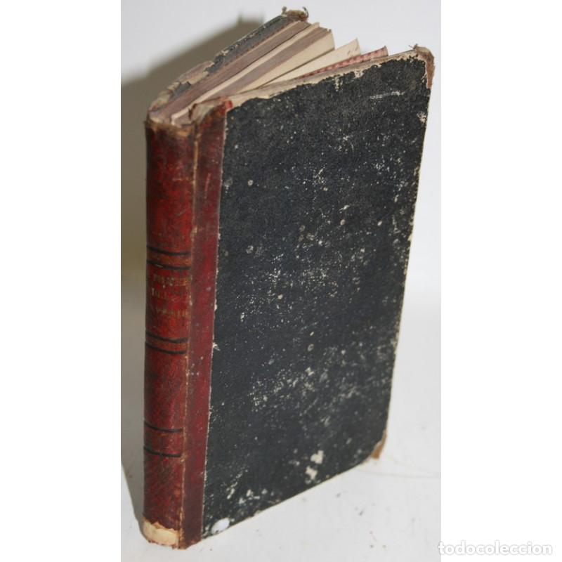 Libros: LA MUJER DEL PORVENIR - ARENAL, Concepci&oacute;n - Foto 1