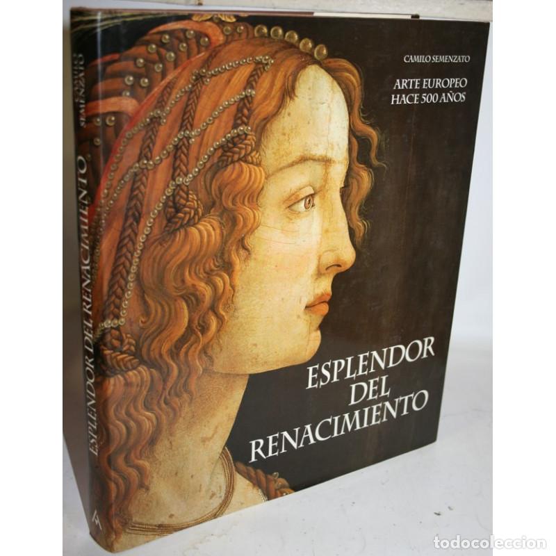 Libros: ESPLENDOR DEL RENACIMIENTO. ARTE EUROPEO HACE 500 A&Ntilde;OS - SEMENZATO, Camilo