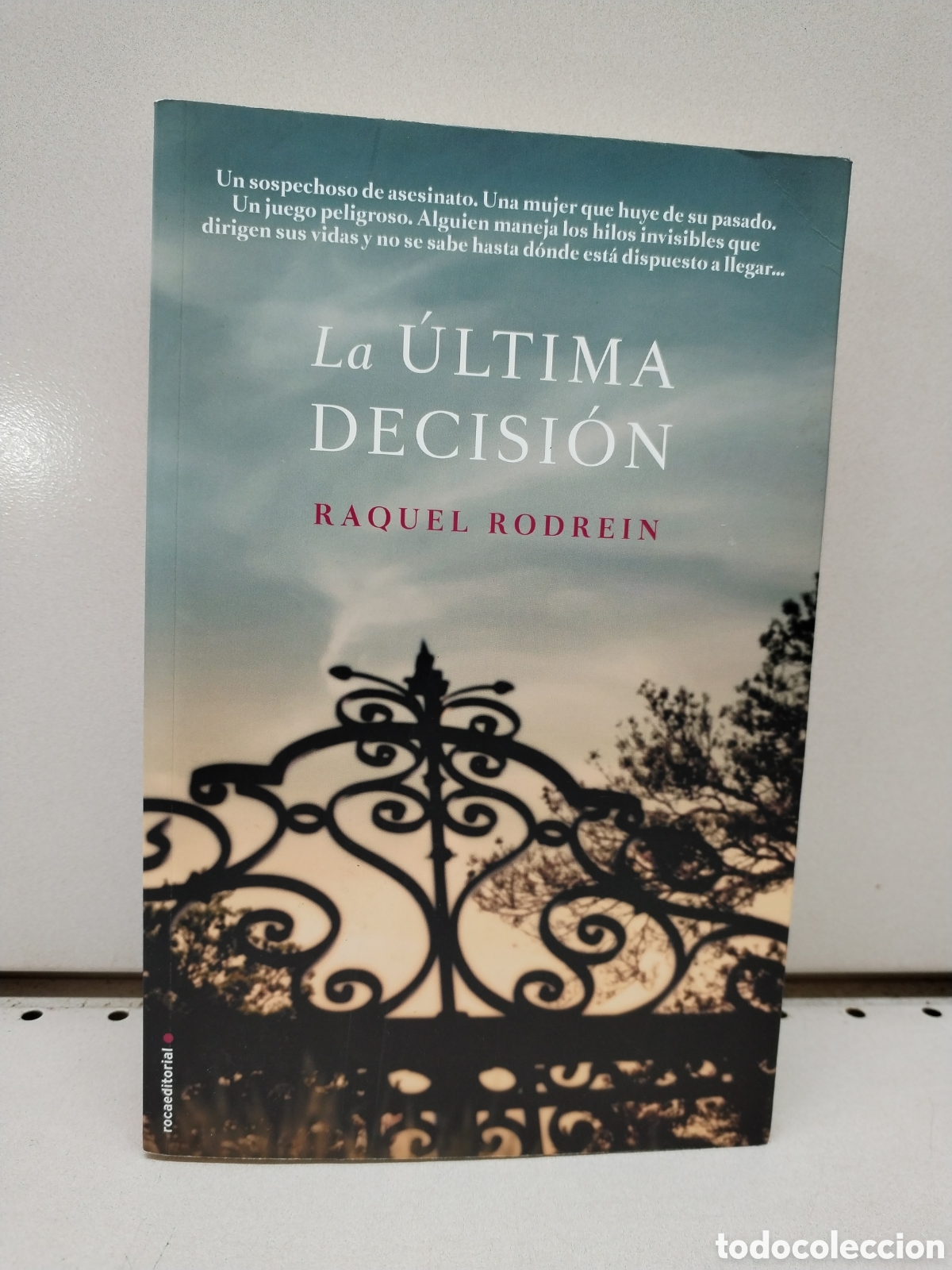 Libros: LA ULTIMA DECISION - Raquel Rodrein - Foto 1