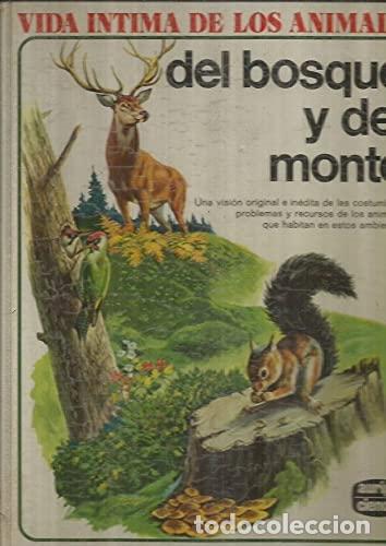 Libros: VIDA &Iacute;NTIMA DE LOS ANIMALES del bosque y del monte - D&acute;Ami,Rinaldo D. - Foto 1