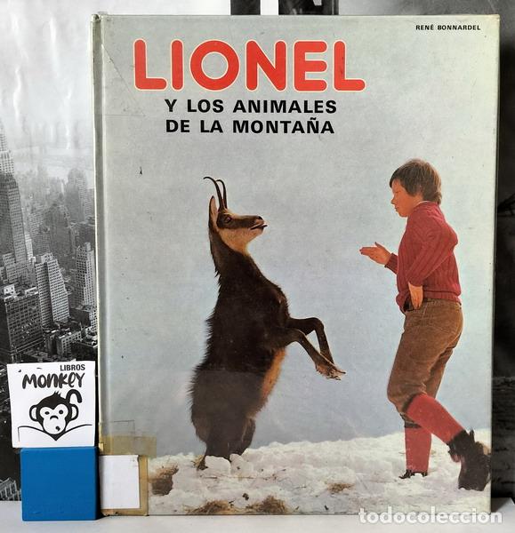 Libros: Lionel y los animales de la monta&ntilde;a - Ren&eacute; Bonnardel - Foto 1