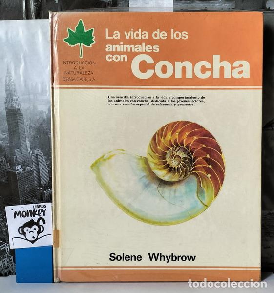 Libros: La vida de los animales con Concha - Solene Whybrow - Foto 1