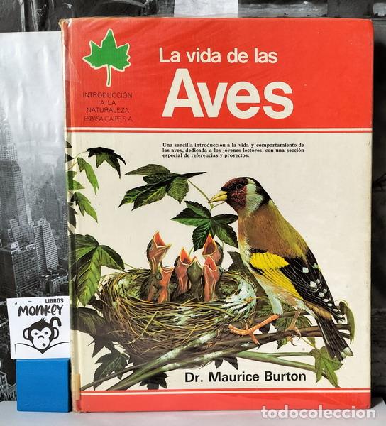 Libros: La vida de las Aves - Dr. Maurice Burton - Foto 1