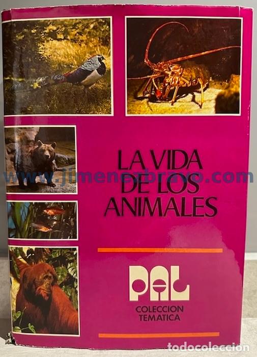 Libros: LA VIDA DE LOS ANIMALES. Colecci&oacute;n Tem&aacute;tica Pal - Foto 1