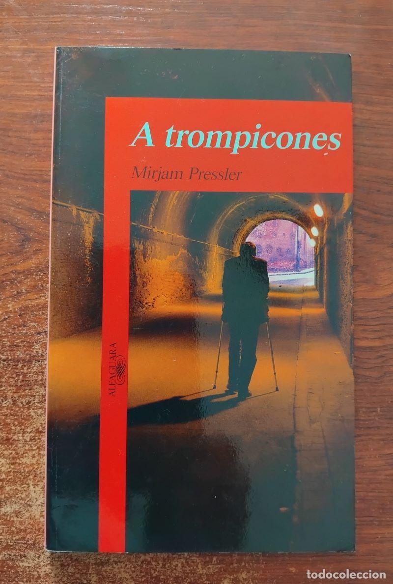 Libros: A trompicones - Mirjam Pressler - Foto 1