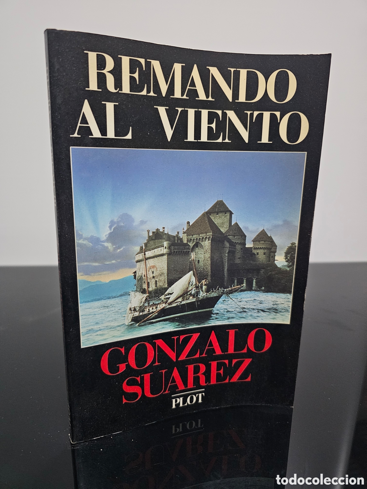 Libros: REMANDO AL VIENTO - GONZALO SU&Aacute;REZ - Foto 1