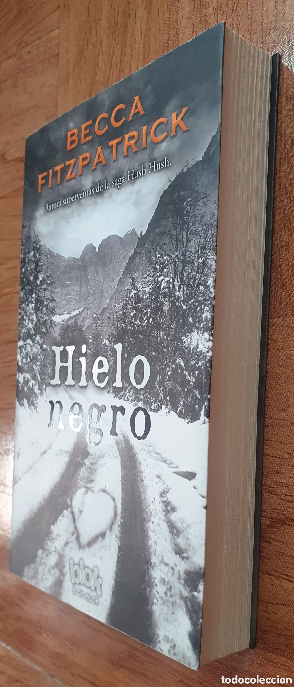 Libros: Hielo Negro � B de Blok - Becca Fitzpatrick - Foto 2