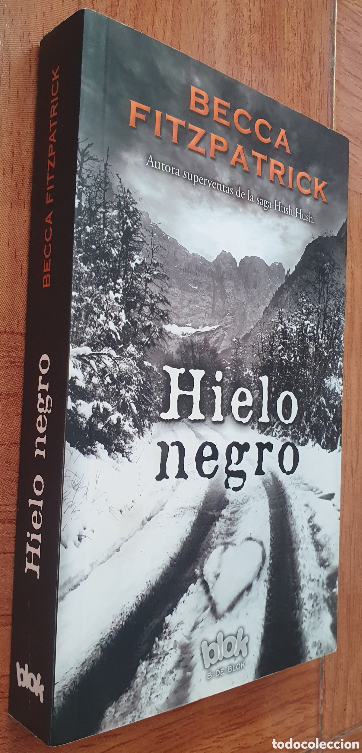 Libros: Hielo Negro � B de Blok - Becca Fitzpatrick - Foto 1