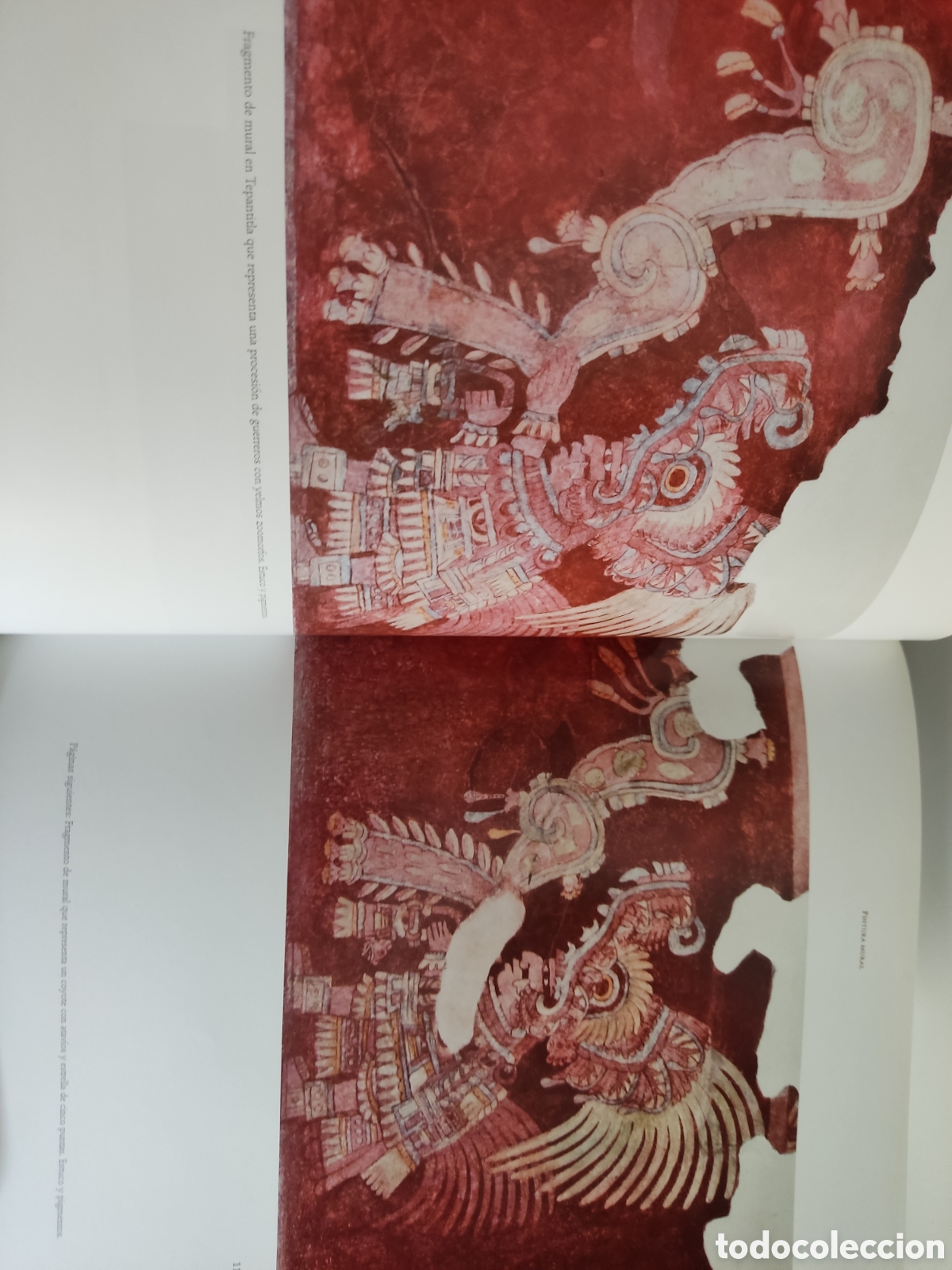 Libros: Teotihuac&aacute;n. Ciudad de los dioses/ Fundaci&oacute;n La Caixa, 2011 - Foto 6