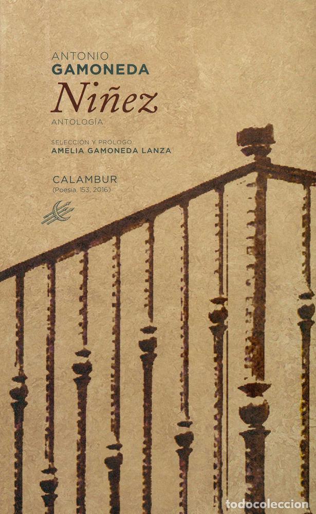 Libros: NI&Ntilde;EZ - GAMONEDA, ANTONIO - Foto 1