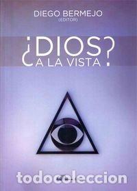Libros: DIOS A LA VISTA - BERMEJO PEREZ, DIEGO - Foto 1