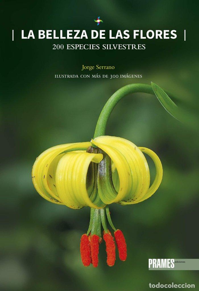 Libri di seconda mano: BELLEZA DE LAS FLORES,LA - SERRANO,JORGE
