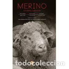Libros: MERINO CHURRAS & MERINAS - VVAA - Foto 1