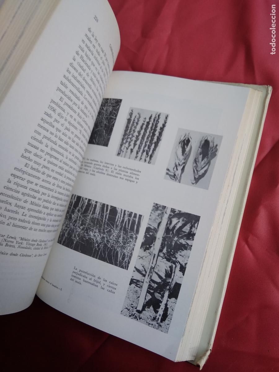 Libros: Campa&ntilde;as contra el hambre E.C. Stakman L.13773-1607 - Foto 2