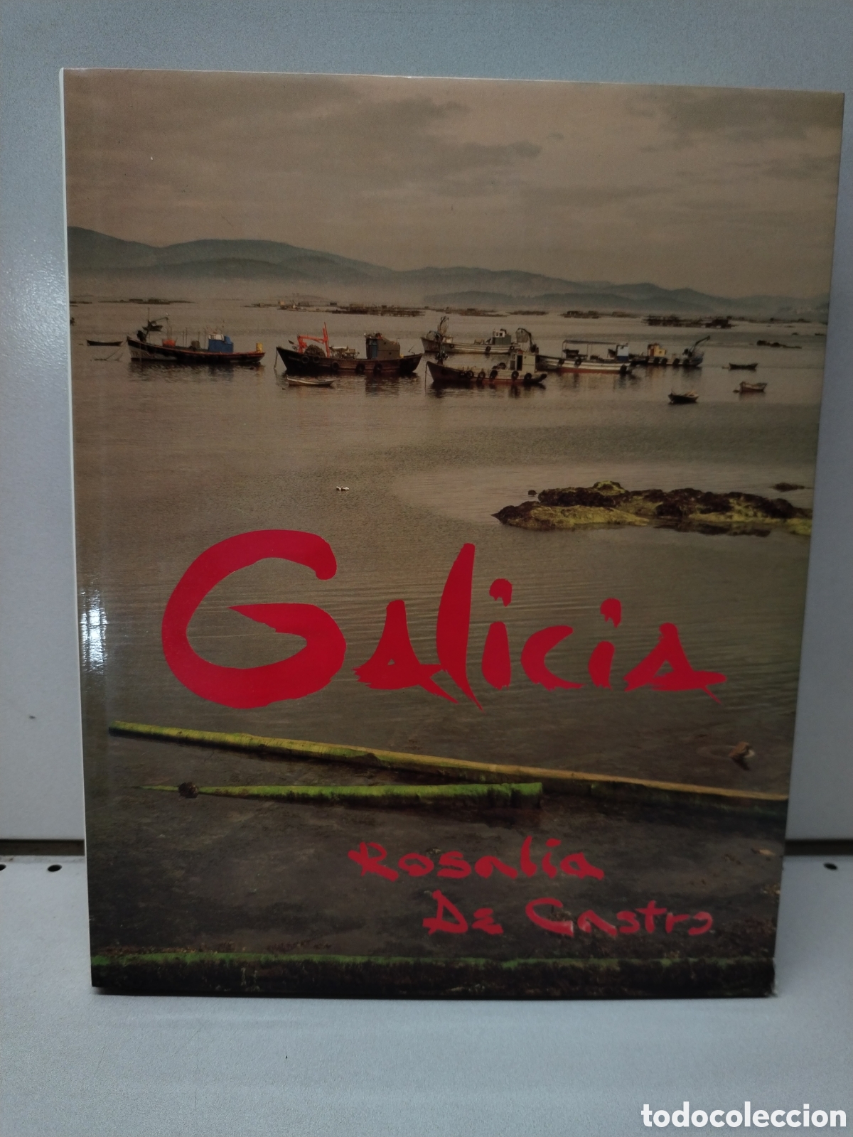 Libros: Galicia - De Castro, Rosalia - Foto 1