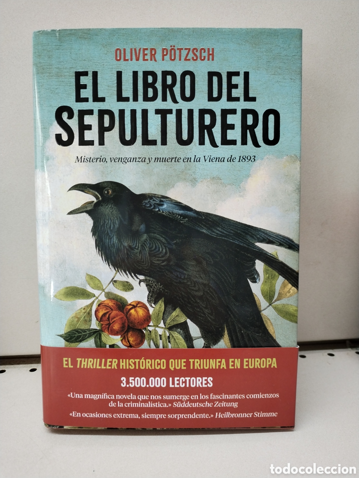 Libros: El libro del sepulturero - P&ouml;tzsch, Oliver - Foto 1