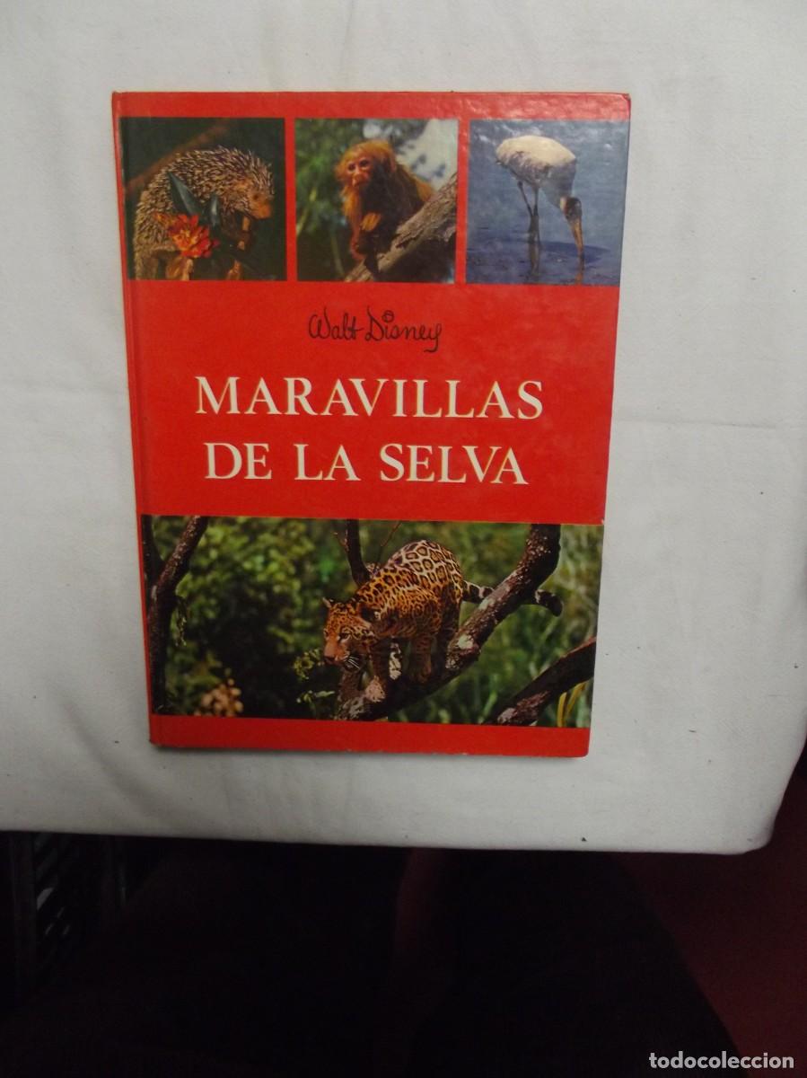 Libros: MARAVILLAS DE LA SELVA WALT DISNEY - Foto 1