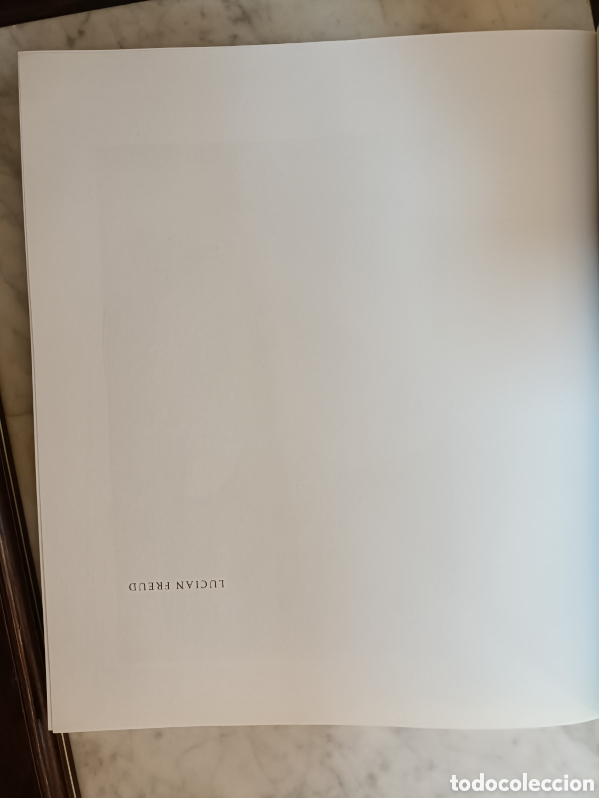Libros: LUCIAN FREUD. TATE PUBLISHING. - Foto 4