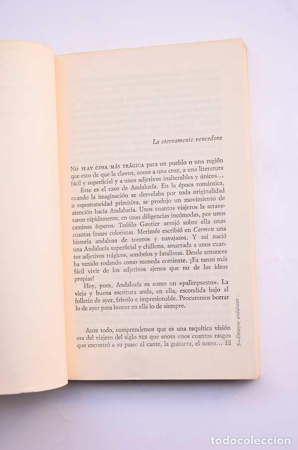 Libros: Ensayos andaluces - PEM&Aacute;N, Jos&eacute; Mar&iacute;a - Foto 3