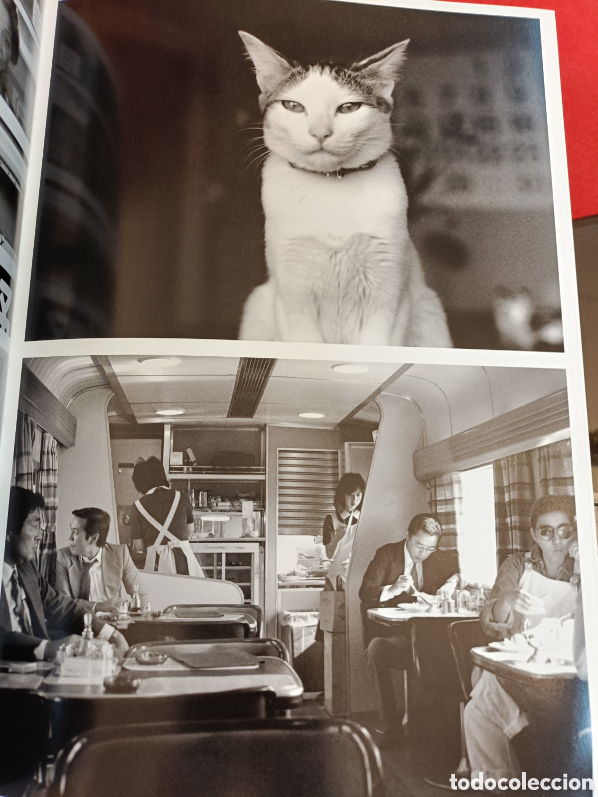Libros: ARAKI. TASCHEN. 1980 - Foto 6