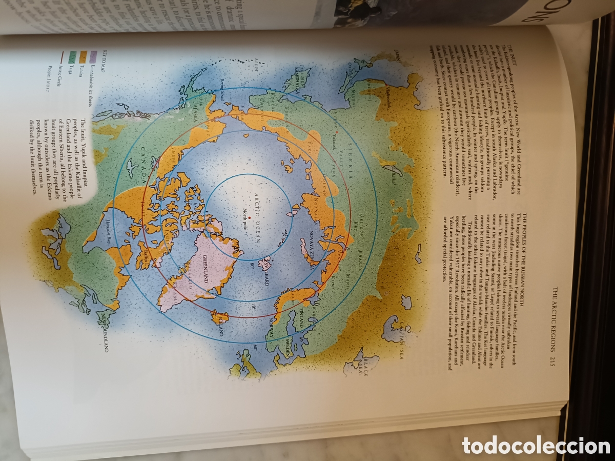 Libros: WORLD MYTHOLOGY. GENERAL EDITOR ROY WILLIS . TSP - Foto 7