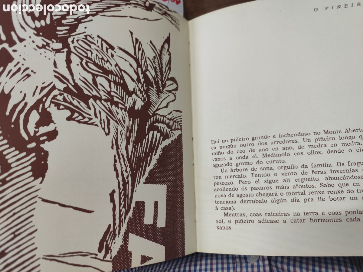 Libros: LAR. 1&ordf; Edici&oacute;n - NEIRA VILAS,Xos&eacute; - Foto 6