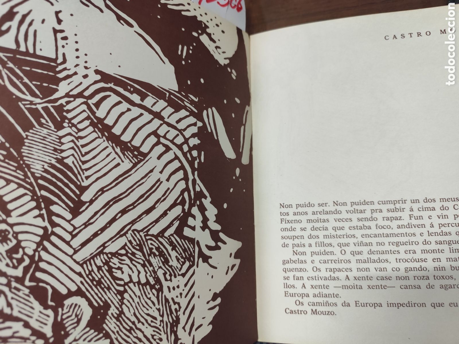 Libros: LAR. 1&ordf; Edici&oacute;n - NEIRA VILAS,Xos&eacute; - Foto 7