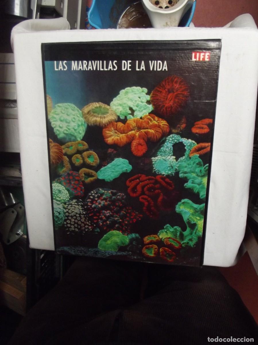 Libros: LAS MARAVILLAS DE LA VIDA ( LIBRO CON CAJA ) - Foto 1